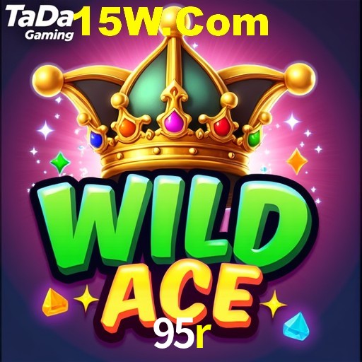 95r.com
