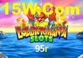 95r,95r.com